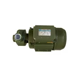 Вихревой насос KF-3 0,55 кВт SAER (3,0 м3/час, 62 м) однофазный