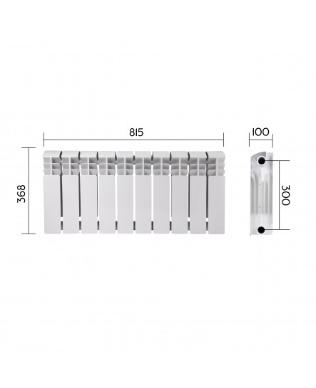 Радиатор биметаллический Thermo Alliance Bi-Ferrum 300/100 1,15 кг