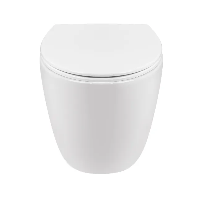 Унитаз подвесной Qtap Leo безободковый с сиденьем Soft-close QT11331002ERW