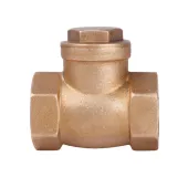 Зворотний клапан SD Plus 3/4" SD242W20