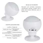 Thermo Alliance Безпровідний детектор руху з WiFi WF-SMS