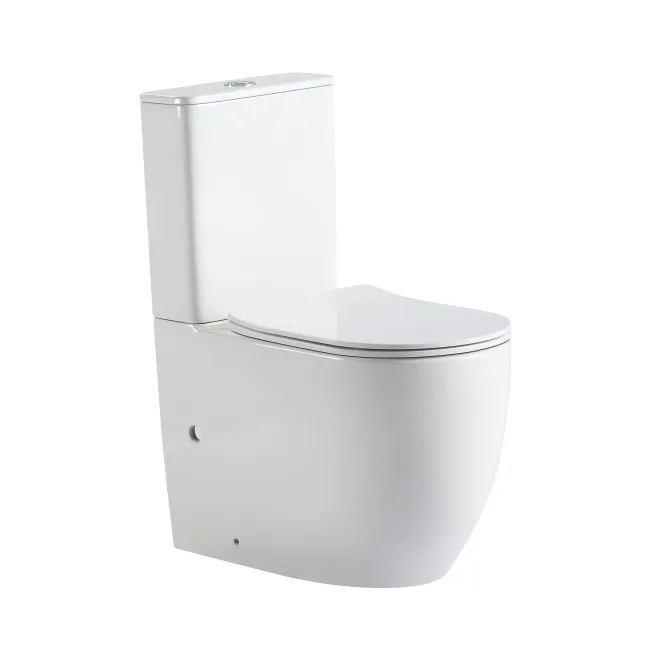 Унітаз підлоговий Qtap Robin New Ultra Quiet безобідковий з сидінням Soft-close WHITE QT13226083AW Унітаз підлоговий Qtap Robin New Ultra Quiet безобідковий з сидінням Soft-close WHITE QT13226083AW