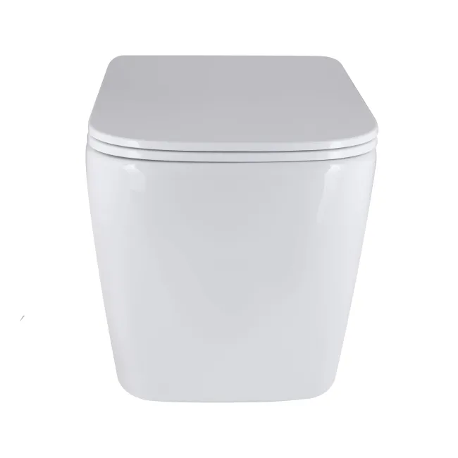 Унітаз підвісний Qtap Tern Ultra Quiet безобідковий з сидінням Soft-close WHITE QT17332303AW